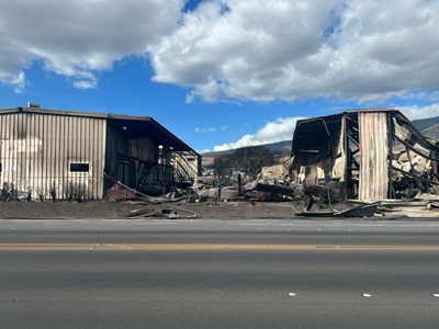 Ka’anapali-Collision-Amanda-Funkhouser-Jess-Unruh-Maui-wildfire-HI