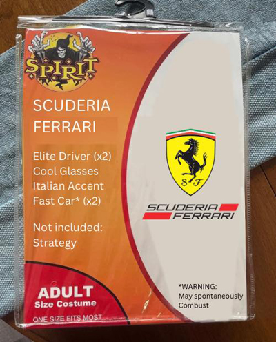 spirit-halloween-costume